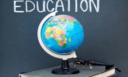 Translation consulting